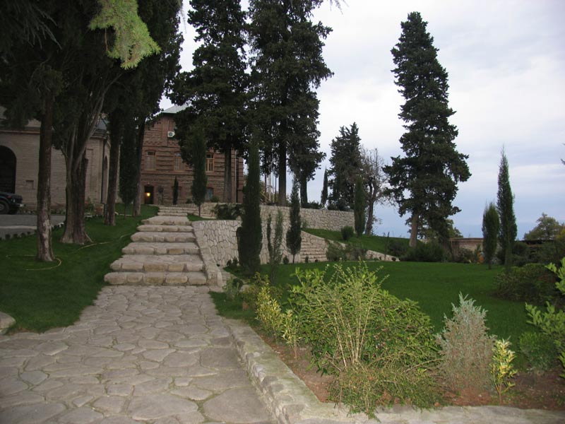 Picture_274.jpg