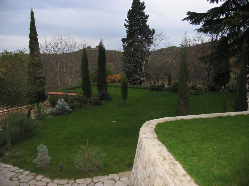 Picture_288.jpg