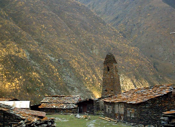 tisheti.jpg