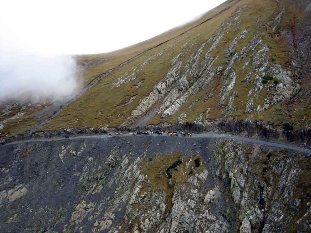 road_behind_abano_pass1.jpg