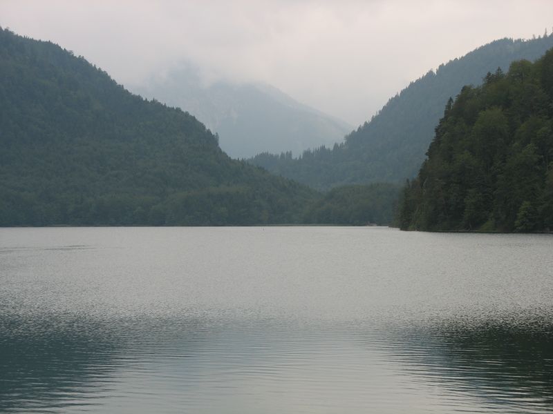 ________________800x600_.jpg