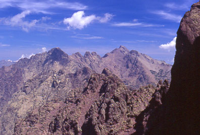 corsicacinto722.jpg