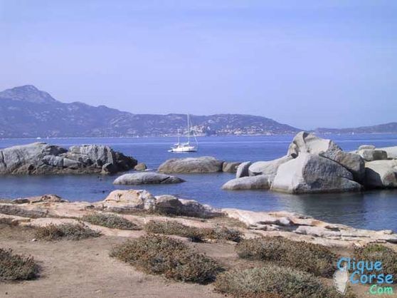 corsica1.jpg