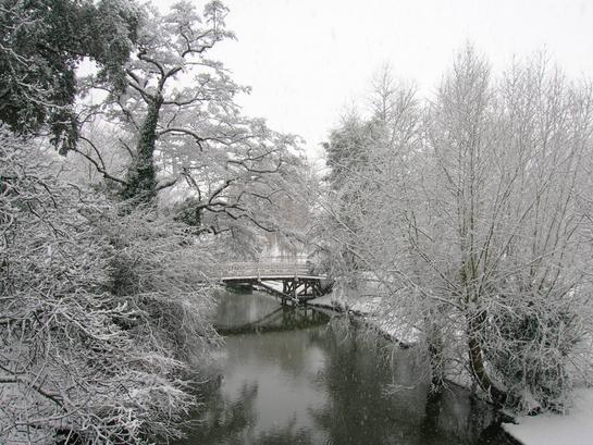 DSCN1395.jpg