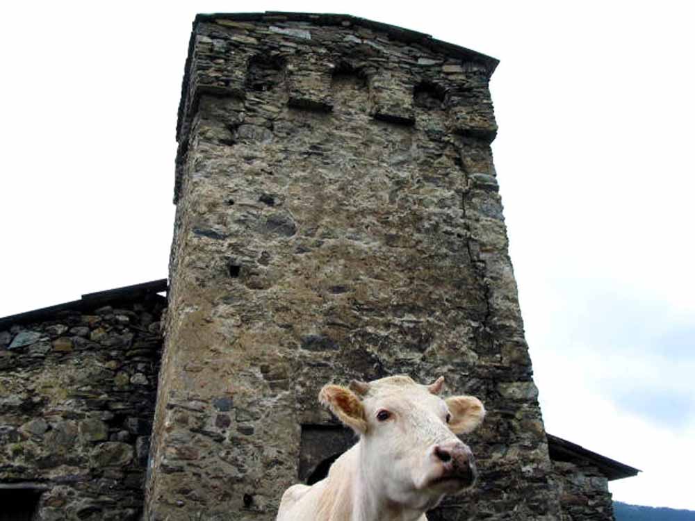 Svaneti__15_.jpg