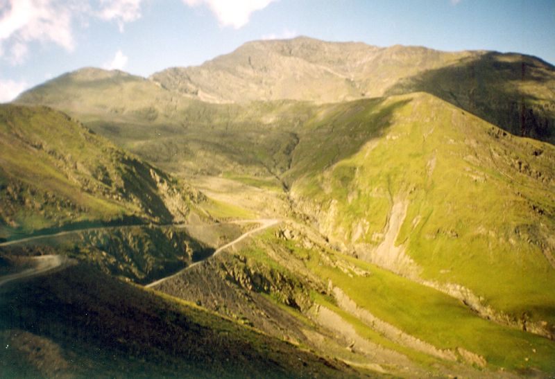 sacivi.jpg