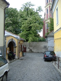 DSCF0061.JPG