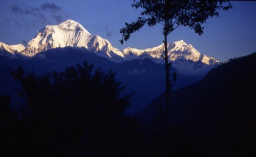 Dhaula63e.jpg
