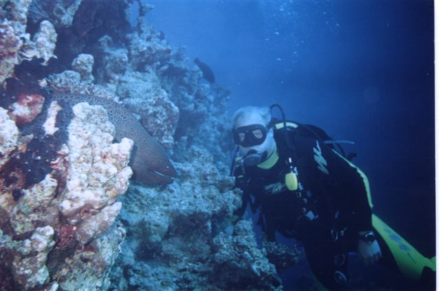 zd.riba14.jpg