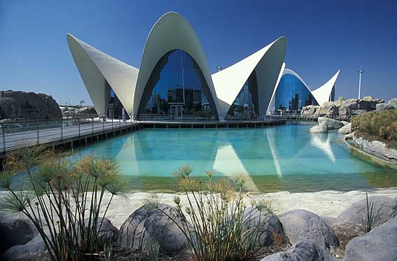 ocean_museum1.jpg