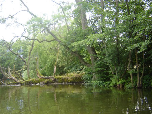 Obraz_001.jpg