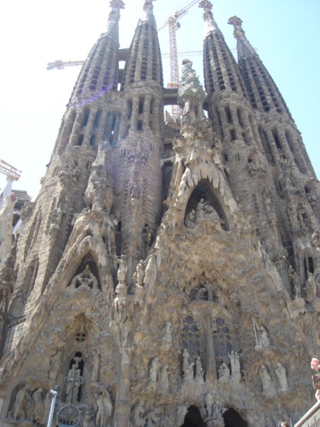 DSC00780__450_x_600_.jpg