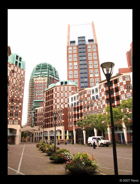 haag001_2.jpg