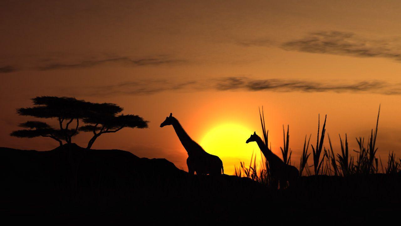 afrika_20060907085508164.jpg
