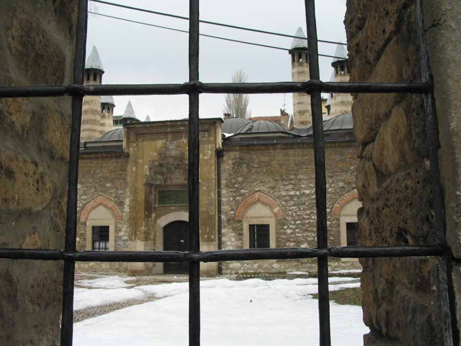IMG_2150.jpg