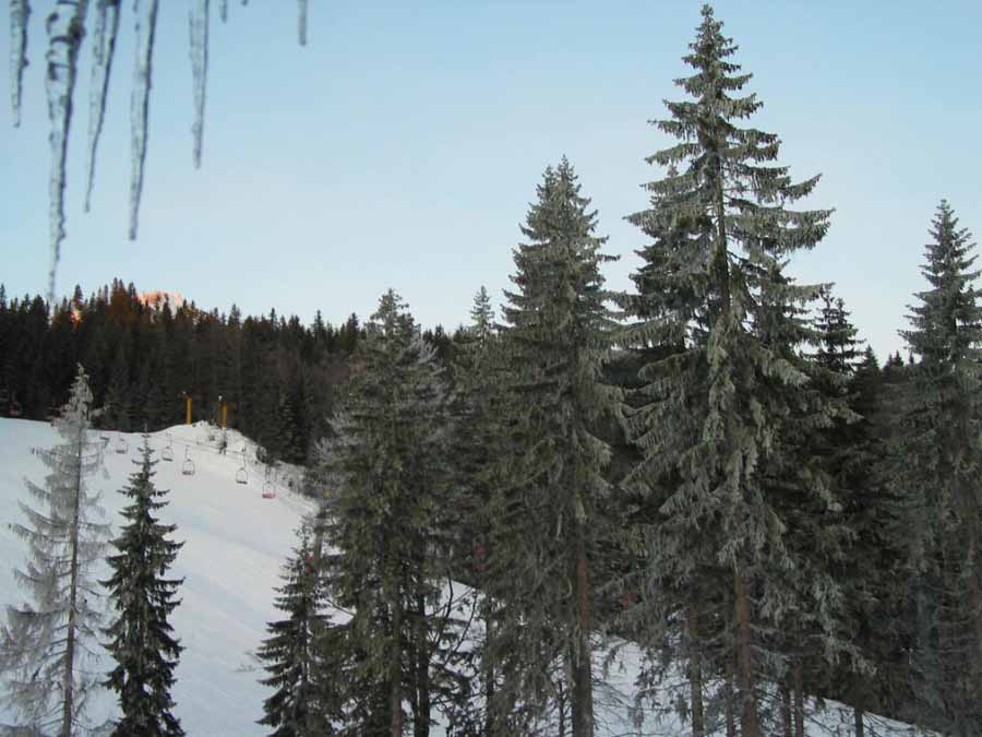 Jahorina_view_from_window.jpg