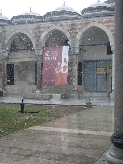 P1020927.JPG