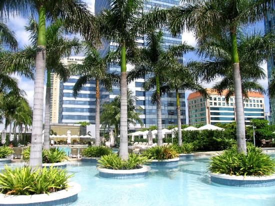 palm_trees_in_the_pool.jpg