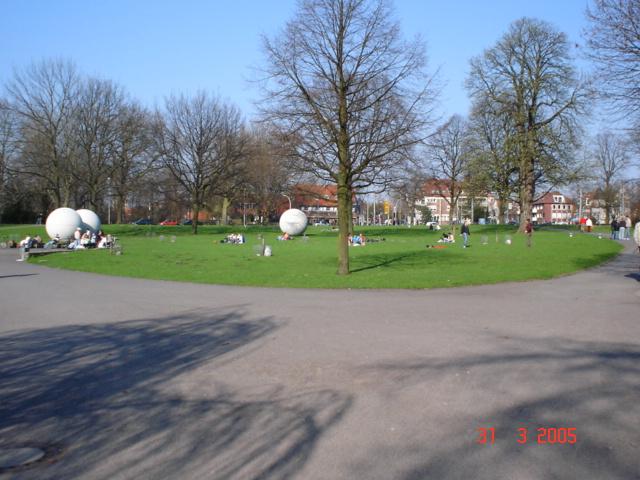 DSC00083.jpg