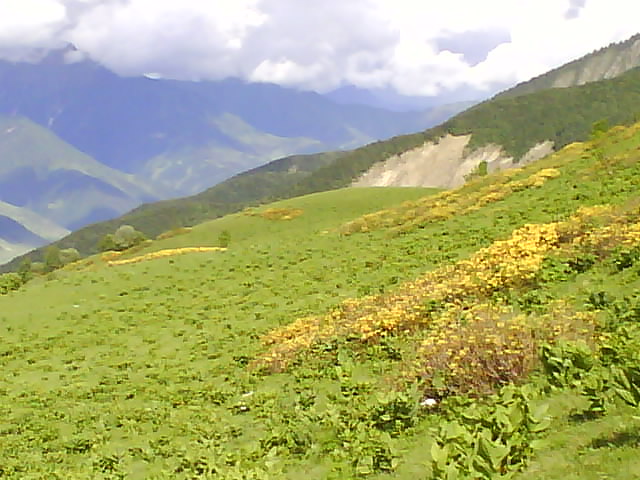DSC00417.JPG