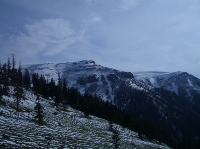 CIMG4127.JPG