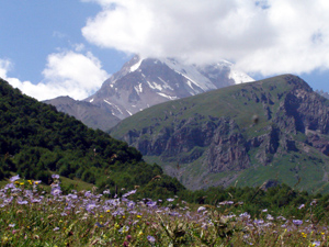 DSC04388.jpg