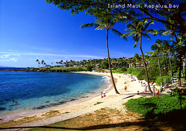 Maui06.jpg