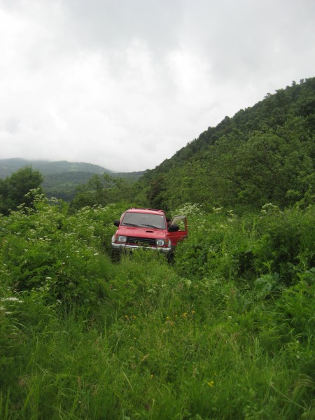 racha_220__800x600_.jpg