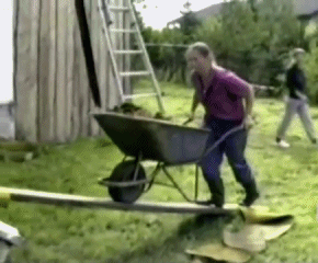 tumblr_mln1cxe6Vq1qd6zieo4_400.gif