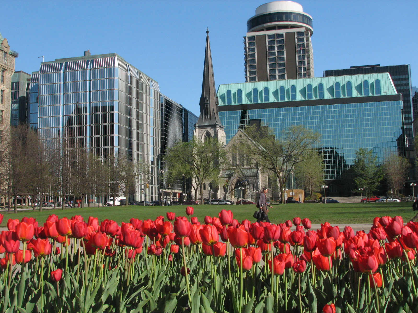 Tulips_in_downtown_Ottawa_from_the_2006_Tulip_Festival.JPG