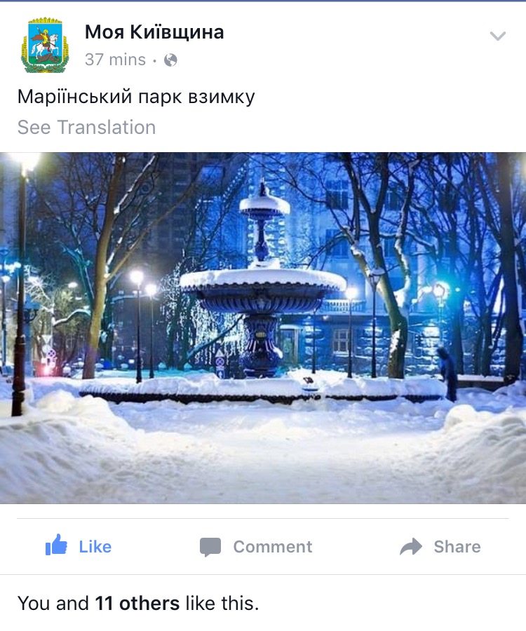 image.jpeg
