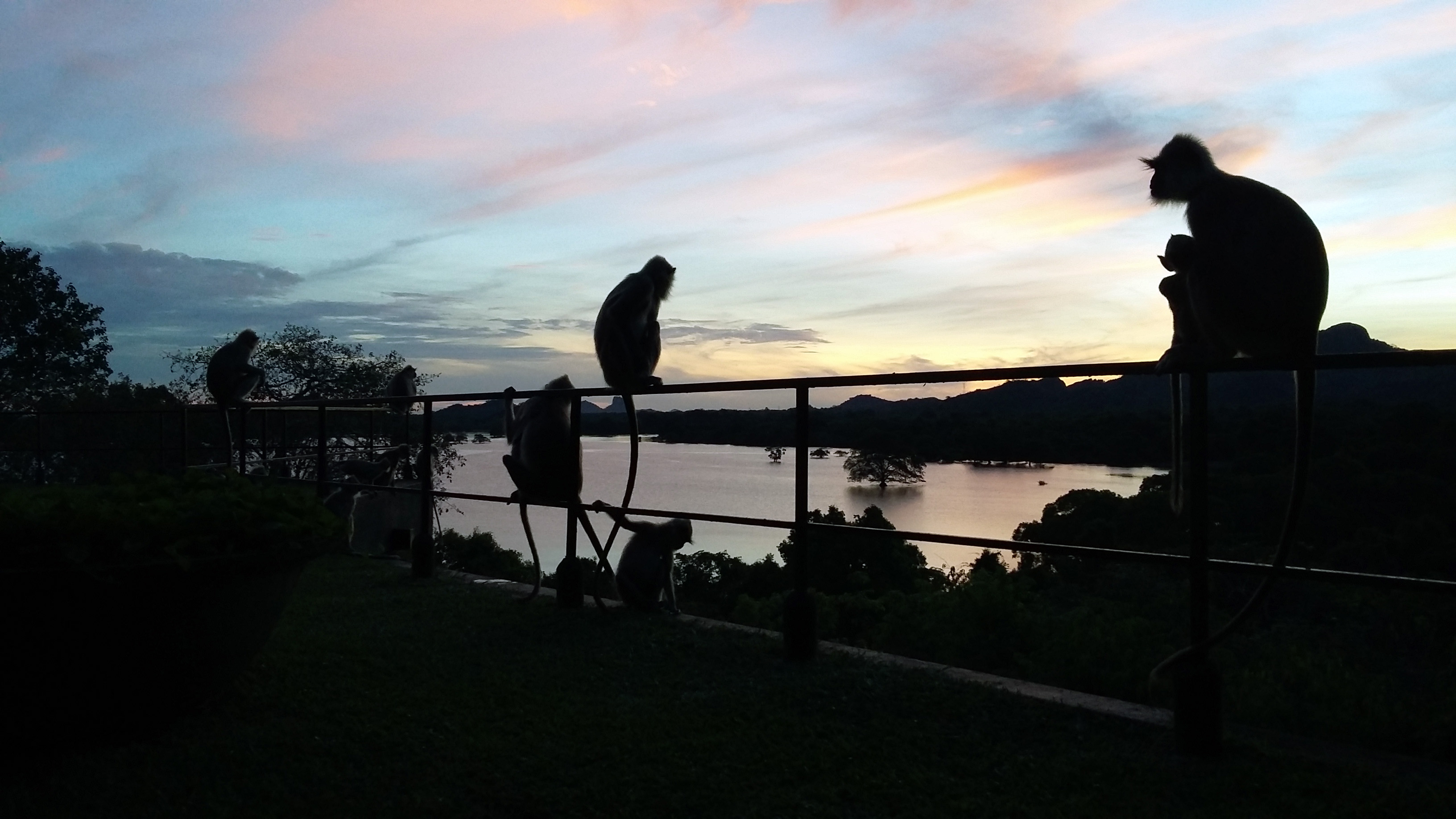 20150606_053947.jpg
