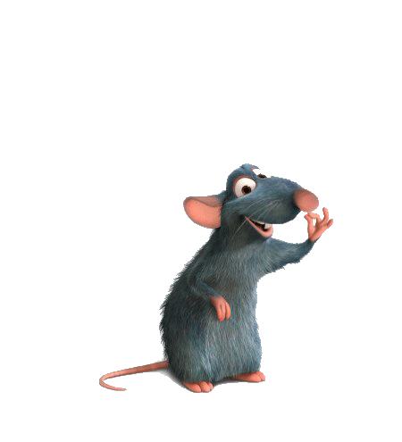 Rat1_Animated.gif