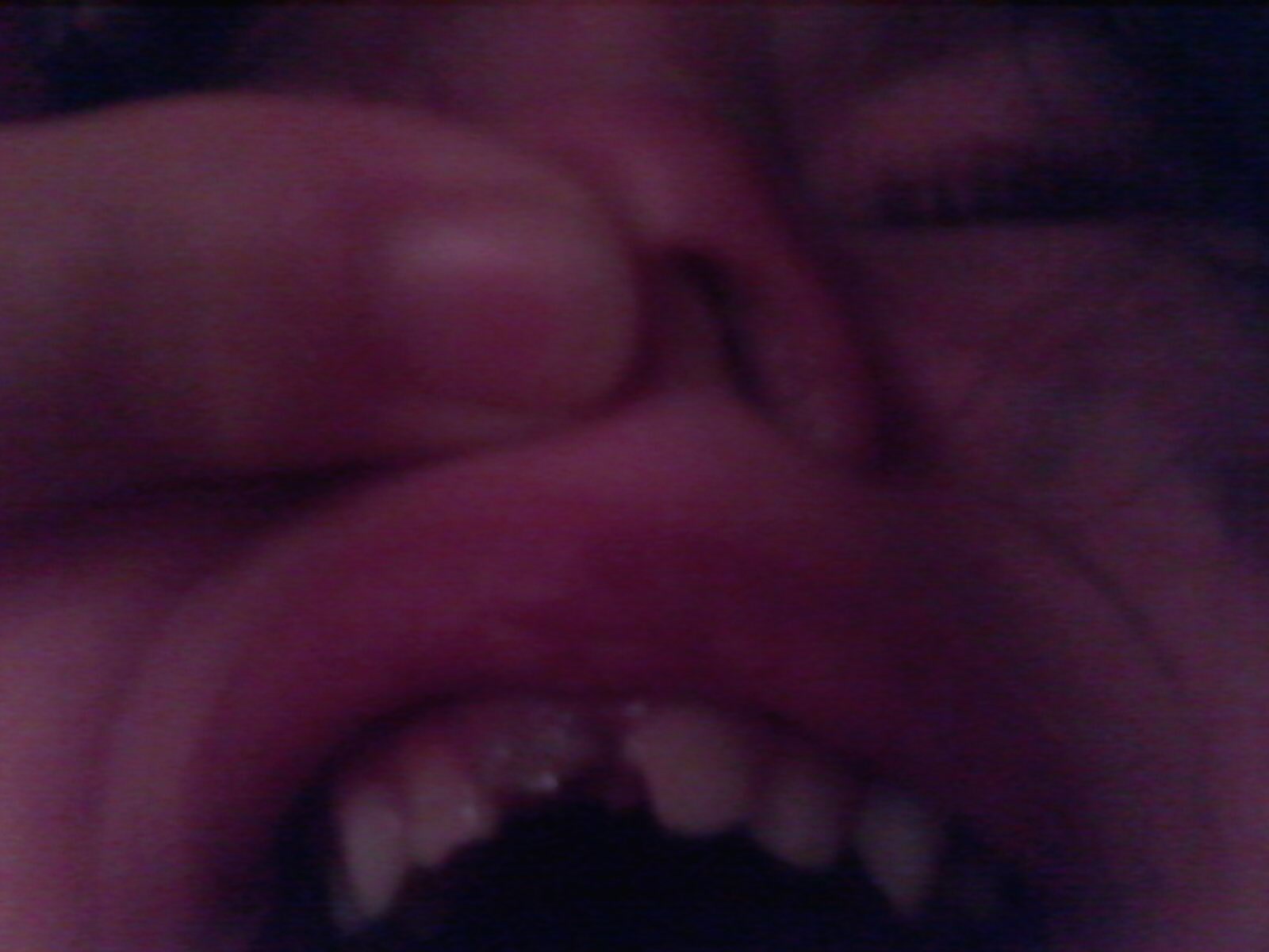IMG10137.jpg