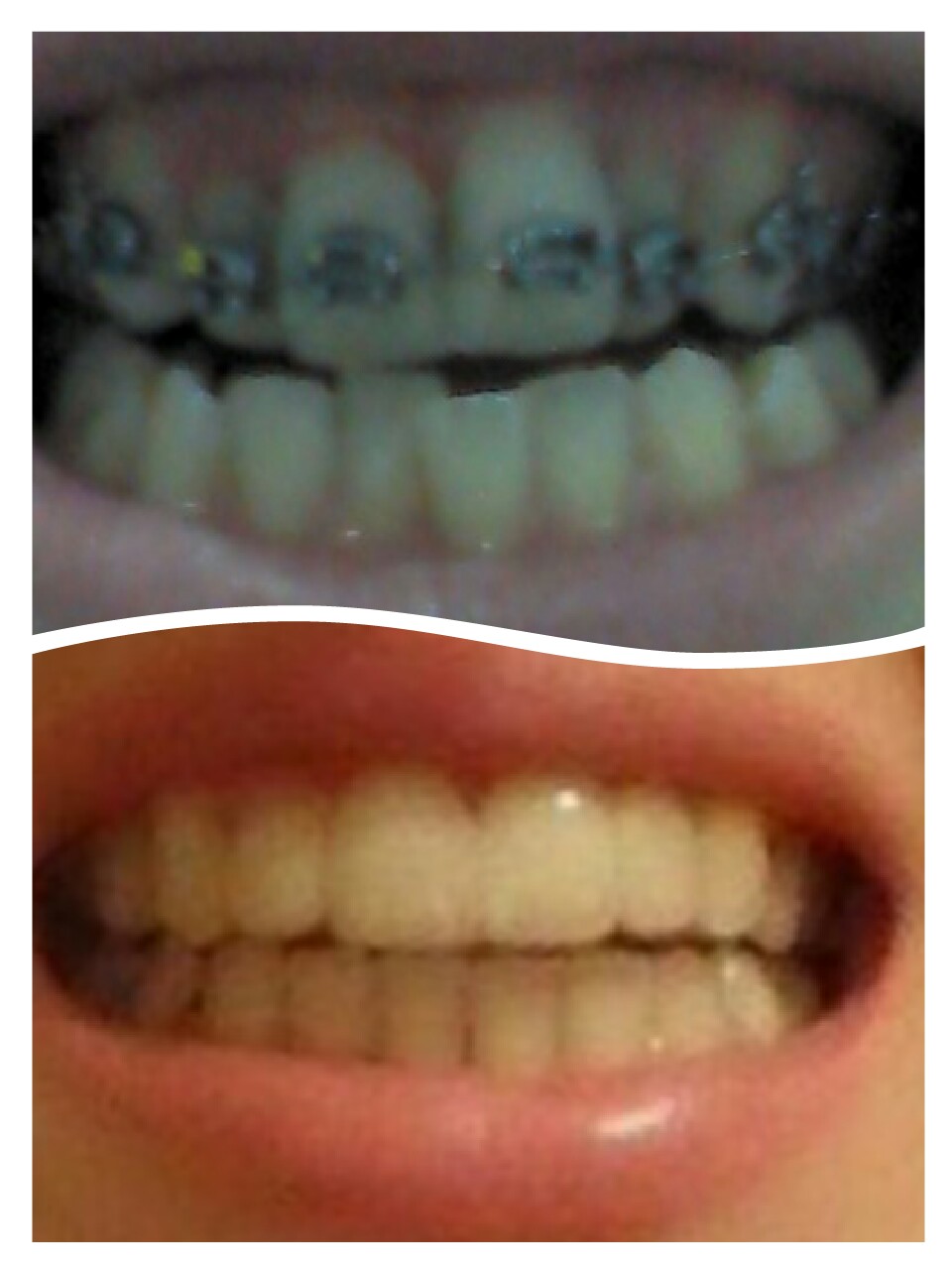 collage_1486201131527.jpg