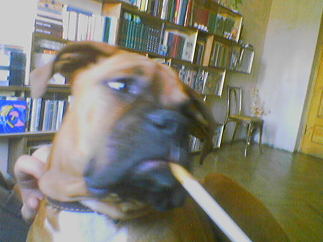 050404_182747.jpg