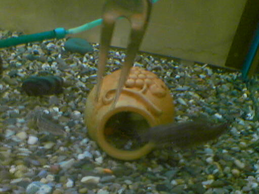 050509_011306.jpg