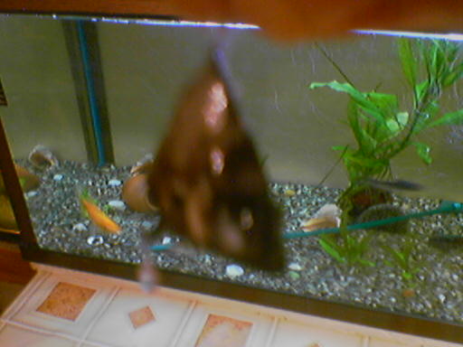 050509_011559.jpg