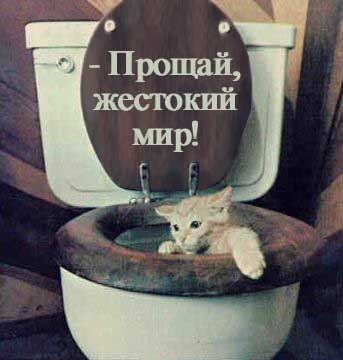 proshaijestokii_mir.jpg