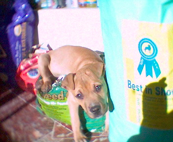 051212_120454.jpg