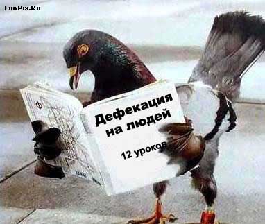 7wa.jpg