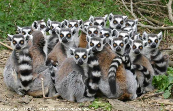 group.jpg