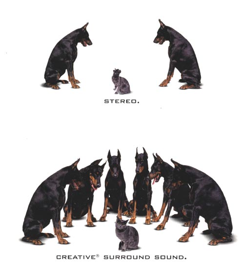 surround.jpg
