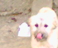 051219_085048.jpg
