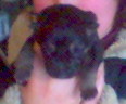060102_155253.jpg