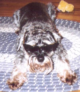 Cooldude.jpg
