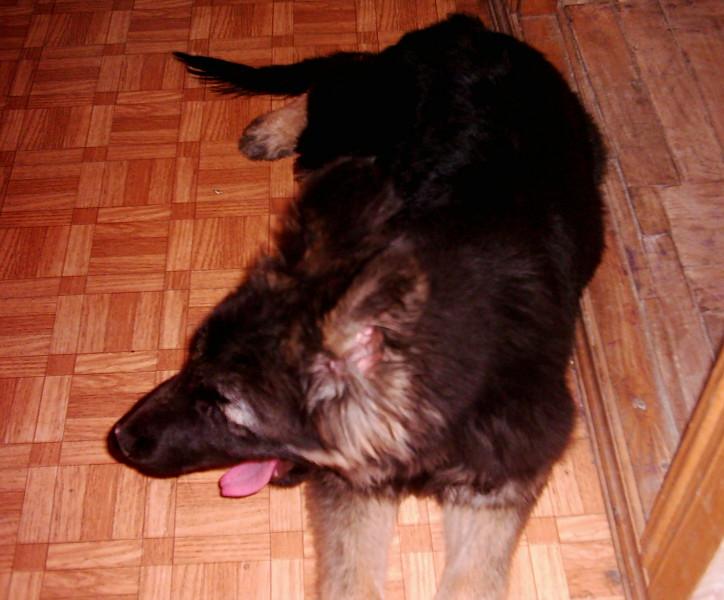 DSCI0009.JPG