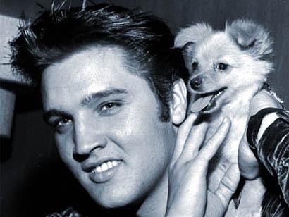 elviswithdog.JPG
