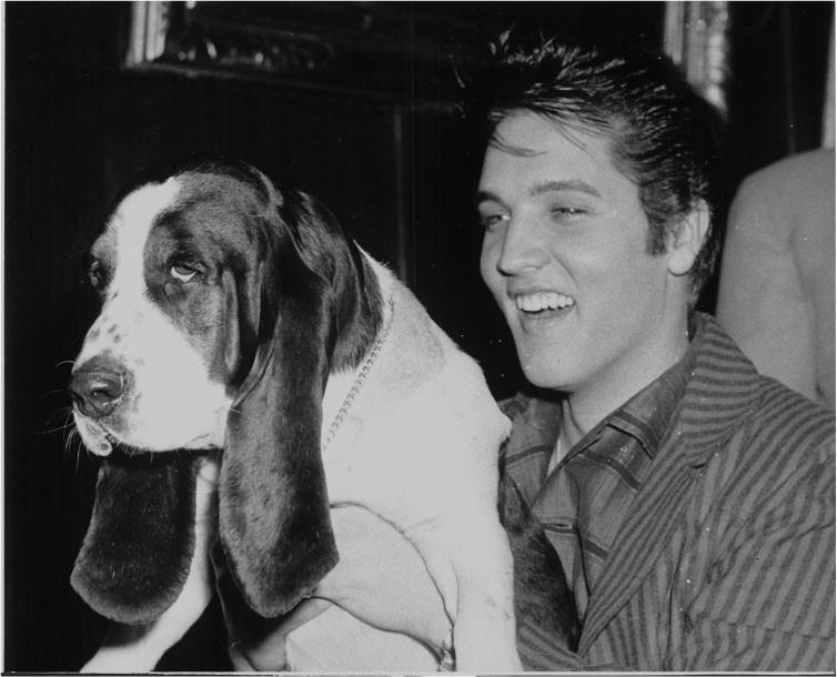elvis_dog.JPG