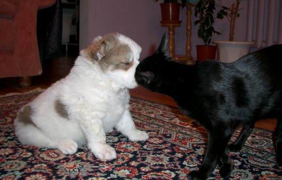 photo150.jpg